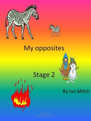 Cover of the book My Opposites by Ian Mitch