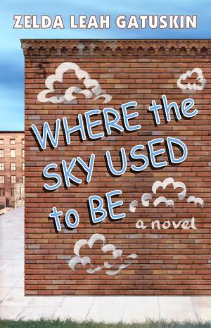 Cover of the book Where the Sky Used to Be by Aliyah Burke