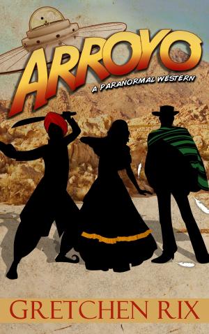 Cover of the book Arroyo by J. V. Stanley