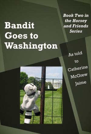 bigCover of the book Bandit Goes to Washington by 
