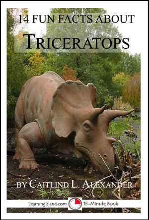 Cover of the book 14 Fun Facts About Triceratops: A 15-Minute Book by Jeannie Meekins