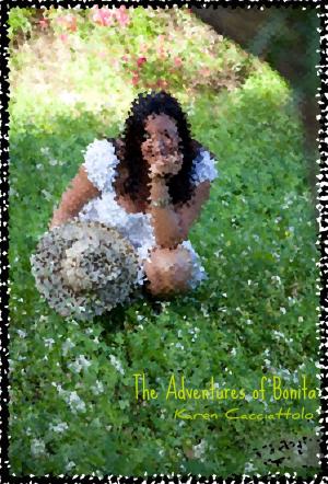 Cover of the book The Adventures of Bonita (Short Story) by Jillian Hewitt