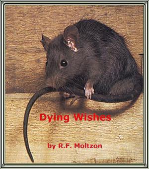 bigCover of the book Dying Wishes by 