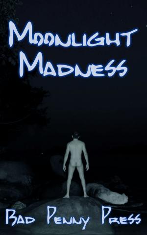 Cover of the book Moonlight Madness by Bad Penny Press