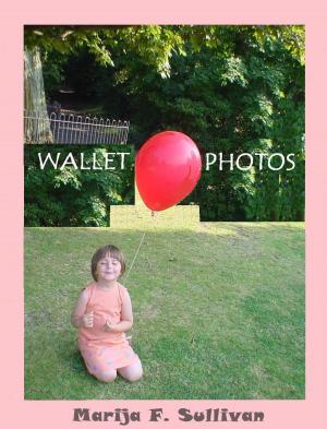 Cover of the book Wallet Photos by Dzevad Karahasan