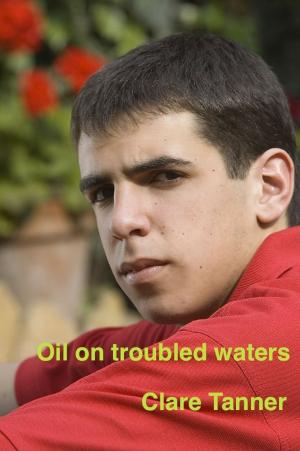 Cover of Oil On Troubled Waters