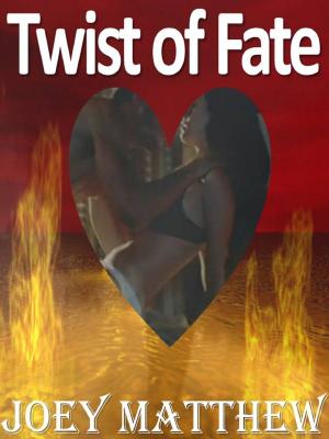 Cover of the book Twist of Fate by Joey Matthew