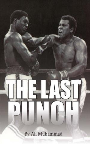 Book cover of The Last Punch