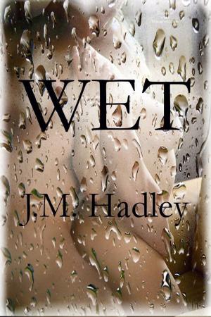 Cover of the book Wet by Paige Matthews