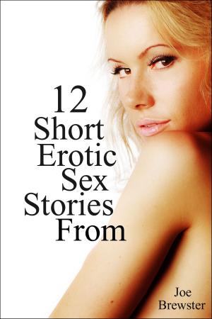 Book cover of 12 Short Erotic Sex Stories From Joe Brewster