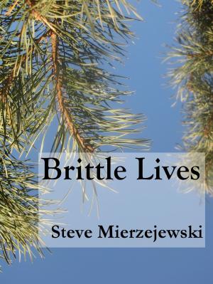 Cover of the book Brittle Lives by Diane Descôteaux