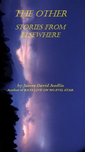 Book cover of The Other: Stories from Elsewhere