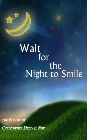 Book cover of Wait For The Night To Smile