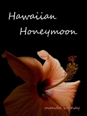 Cover of the book Hawaiian Honeymoon by Dustin Chase