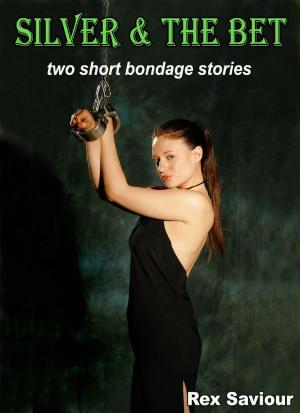 Cover of Silver and The Bet: Two Short Bondage Stories