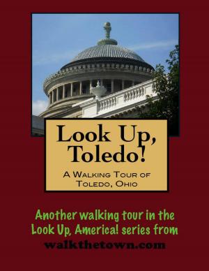 Cover of the book Look Up, Toledo! A Walking Tour of Toledo, Ohio by Doug Gelbert