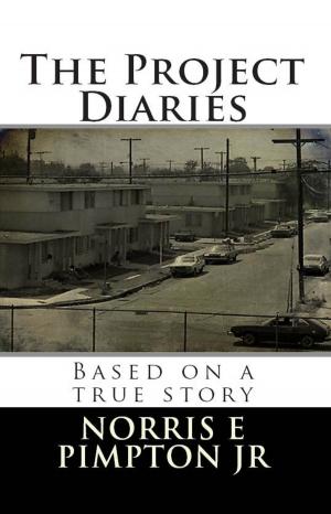 Cover of the book The Project Diaries by DP Scott