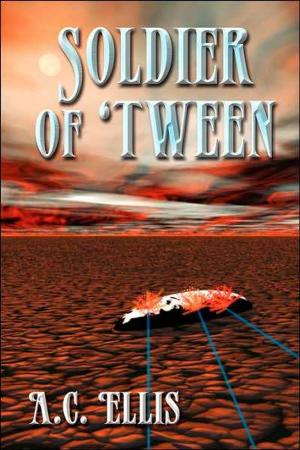 Cover of the book Soldier of 'Tween by Dean Murray