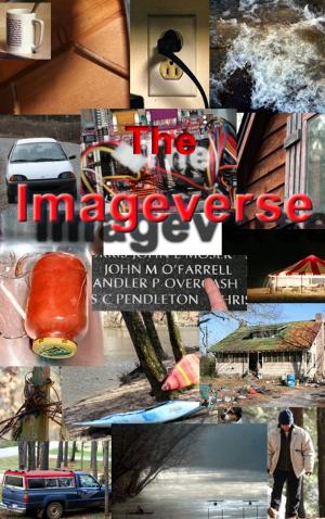 Book cover of The Imageverse
