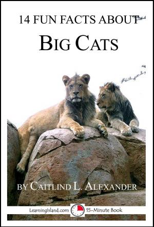 Book cover of 14 Fun Facts About Big Cats: A 15-Minute Book