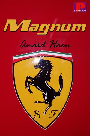 Cover of the book Magnum by Anaïd Haen, Django Mathijsen
