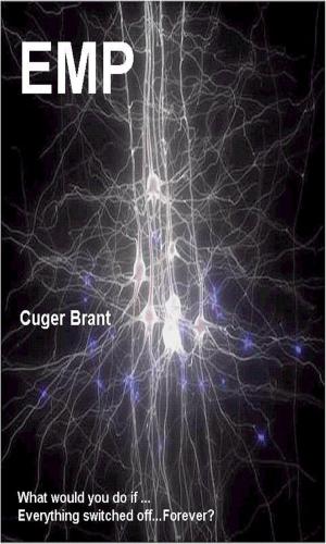 Cover of the book Electro Magnetic Pulse by Albert Clark
