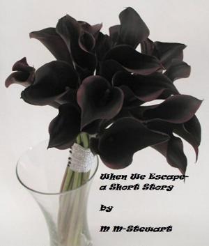 Cover of the book When We Escape- A Short Story by K.M. Carroll