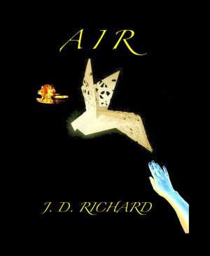 bigCover of the book Air by 