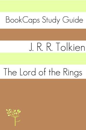 Cover of the book Study Guide: The Lord of the Rings Series (A BookCaps Study Guide) by KidLit-O