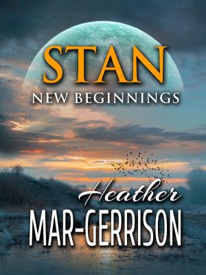 Book cover of Stan, New Beginnings