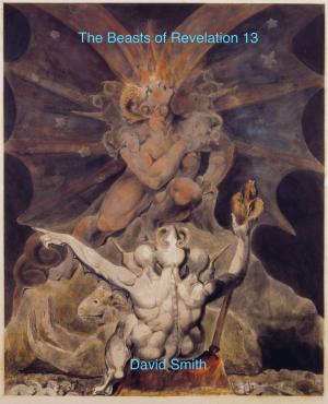 Book cover of The Beasts of Revelation 13