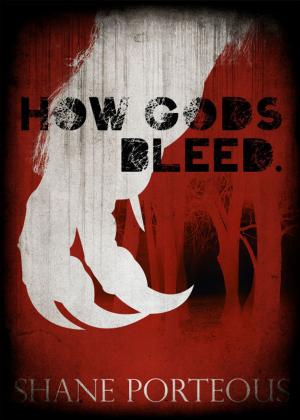 Cover of the book How Gods Bleed by J. Craig Argyle