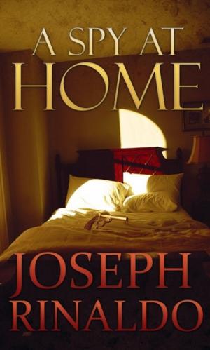 Book cover of A Spy At Home