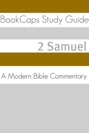 Book cover of 2 Samuel: A Modern Bible Commentary