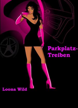 Book cover of Parkplatztreiben