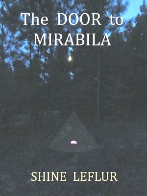 Book cover of The Door to Mirabila