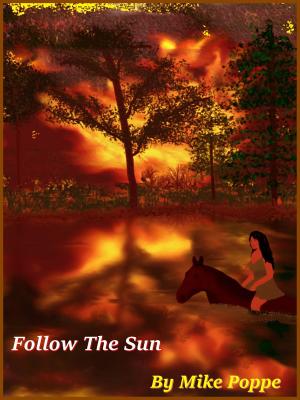 Book cover of Follow The Sun