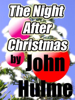 Book cover of The Night After Christmas