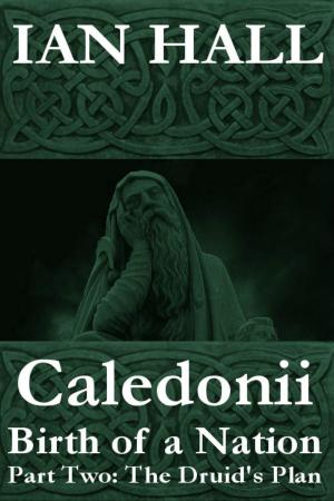 Cover of the book Caledonii: Birth of a Nation. (Part Two; The Druid's Plan.) by Peter Higgins