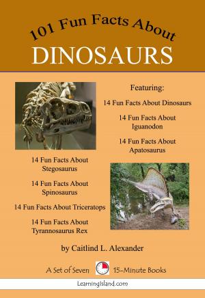 Cover of the book 101 Fun Facts About Dinosaurs: A set of 7 15-minute Books by Cullen Gwin