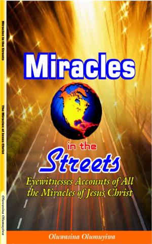 Cover of the book Miracles in the Streets: Eyewitnesses Accounts of All the Miracles of Jesus Christ by Thomas Muldoon