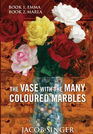 bigCover of the book The VASE with the MANY COLOURED MARBLES by 