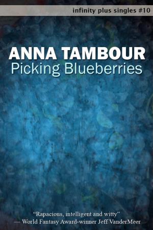 Cover of the book Picking Blueberries by Garry Kilworth
