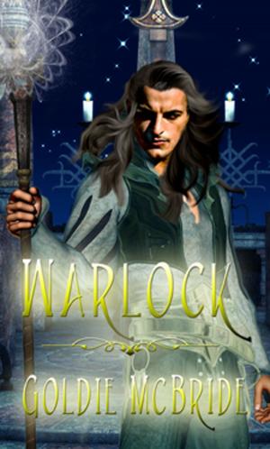 Book cover of The Warlock
