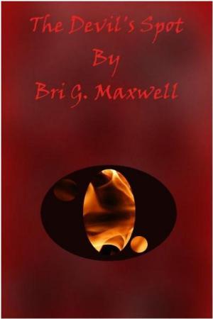 Cover of the book The Devil's Spot by Bri