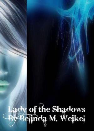 Cover of the book Lady of the Shadows by T. Alan Martens