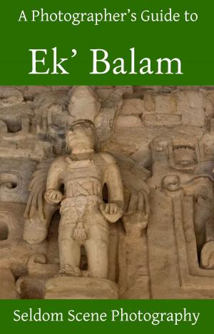 bigCover of the book A Photographer's Guide to Ek' Balam by 
