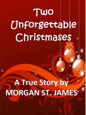 Book cover of Two Unforgettable Christmases
