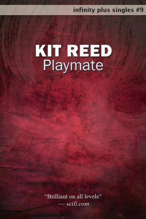 Cover of the book Playmate by Keith Brooke