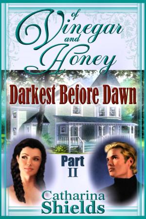 Cover of the book Of Vinegar and Honey, Part II: "Darkest Before Dawn" by C. J. Kelleher